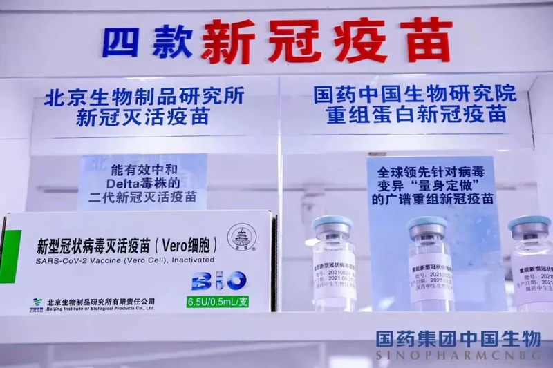 生物科技行业的创新引擎：生物技术研发